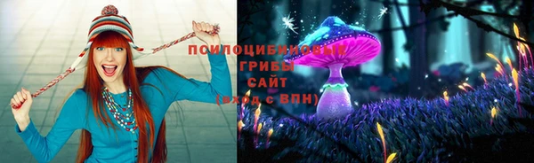 мескалин Баксан