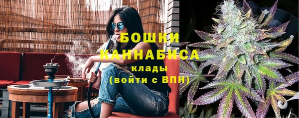 дживик Балахна